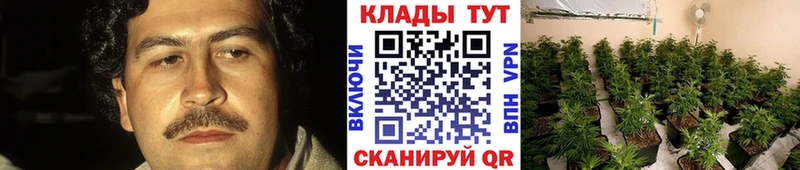 Где купить наркотики Цимлянск ГАШИШ  Марихуана  КОКАИН  СК  МЕФ 