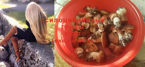 альфа пвп Медвежьегорск