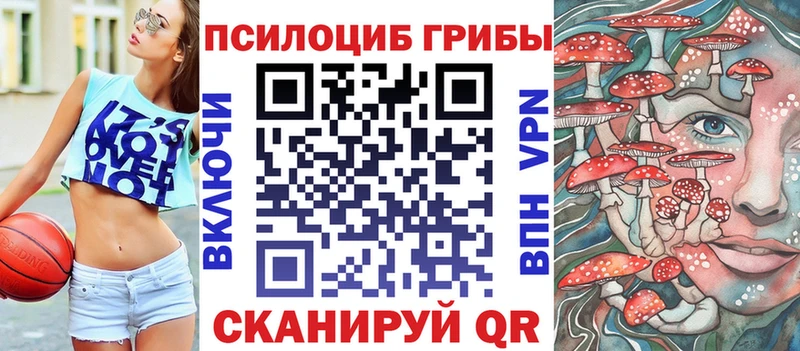 Псилоцибиновые грибы мицелий  цены   МЕГА зеркало  Цимлянск 